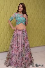 Diksha Panth at Chal Chal Gurram Movie Audio Launch